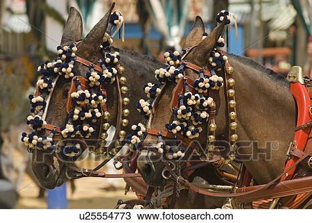 Decorated Horses View Large Photo Image Stock Image - Decorated Horses. Fotosearch
