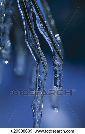 Dripping icicles View Large Photo Image Stock Photo - Dripping icicles. Fotosearch