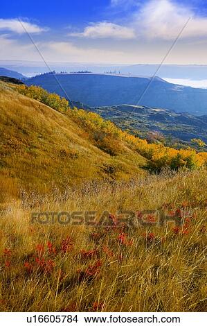 Dry Island Buffalo Jump Provincial Park View Large Photo Image Picture - Dry Island Buffalo Jump Provincial Park. Fotosearch