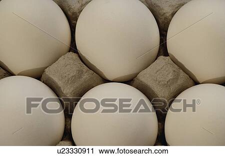 Eggs in a carton View Large Photo Image Stock Image - Eggs in a carton. Fotosearch