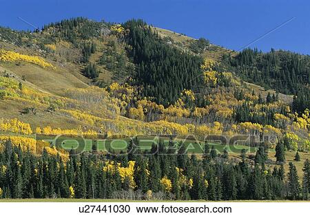 Fall Foliage scenic View Large Photo Image Stock Image - Fall Foliage scenic. Fotosearch