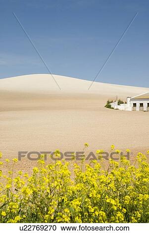Farmhouse in Málaga province, Andalucia, Spain View Large Photo Image Stock Image - Farmhouse in Málaga province, Andalucia, Spain. Fotosearch