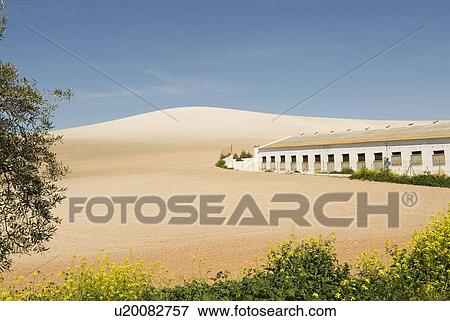 Stock Photo - Farmhouse in Málaga province, Andalucia, Spain. Fotosearch