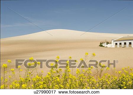 Farmhouse in Málaga province, Andalucia, Spain View Large Photo Image Stock Photo - Farmhouse in Málaga province, Andalucia, Spain. Fotosearch