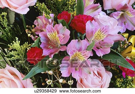 Flower bouquets View Large Photo Image Stock Photo - Flower bouquets. Fotosearch