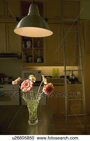 Flowers in a kitchen View Large Photo Image Stock Image - Flowers in a kitchen. Fotosearch