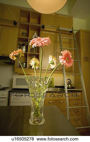 Stock Photo - Flowers in a kitchen. Fotosearch