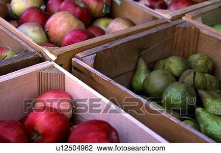 Fresh Produce Bins View Large Photo Image Stock Image - Fresh Produce Bins. Fotosearch
