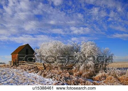 Stock Image - Frosty day on the prairie. Fotosearch