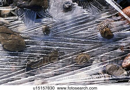 Ice pattern detail View Large Photo Image Stock Image - Ice pattern detail. Fotosearch