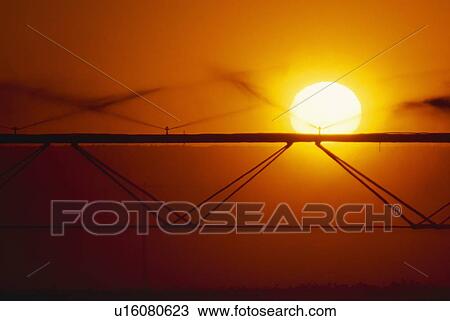 Stock Image - Irrigation sprinkler at sunset. Fotosearch