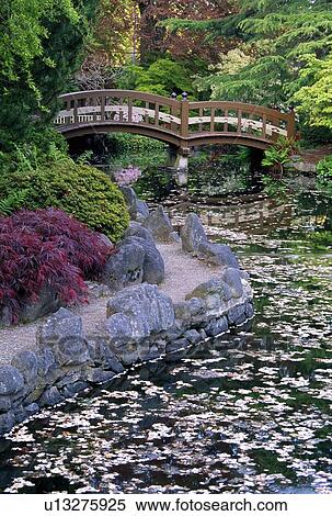 Japanese garden bridge over stream View Large Photo Image Stock Photography - Japanese garden bridge over stream. Fotosearch