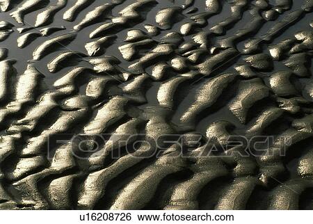 Stock Photograph - Lagoon sands at low tide. Fotosearch