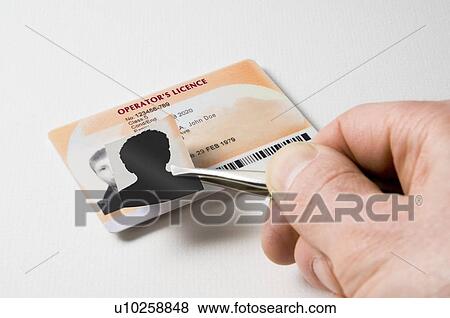 Stock Photo - Making a false ID Card. Fotosearch