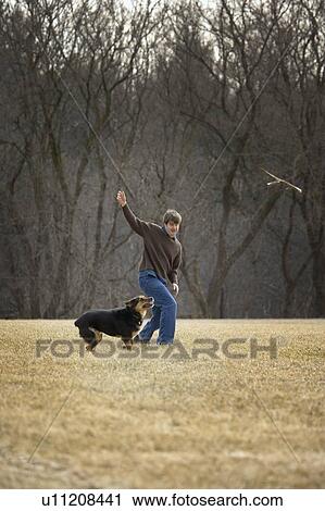 Man throws stick for dog View Large Photo Image Stock Image - Man throws stick for dog. Fotosearch