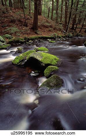 Moving water, moss-covered boulders View Large Photo Image Stock Photography - Moving water, moss-covered boulders. Fotosearch