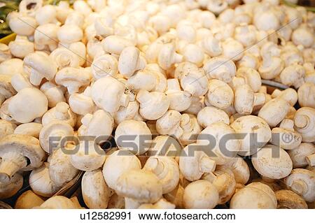 Mushrooms View Large Photo Image Stock Image - Mushrooms. Fotosearch