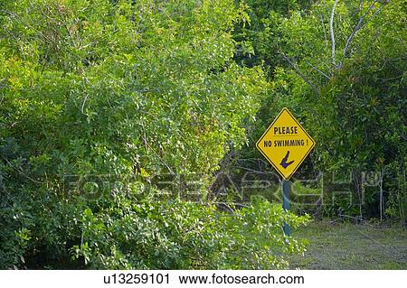 No Swimming sign in forest View Large Photo Image Stock Image - No Swimming sign in forest. Fotosearch
