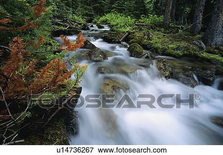 Stock Photo - North Cascades National Park. Fotosearch