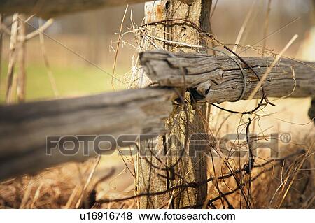 Stock Photo - Old wooden fence. Fotosearch