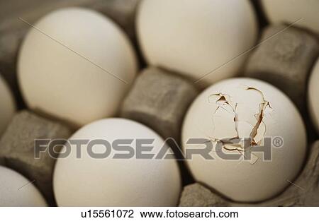 One Cracked egg View Large Photo Image Stock Image - One Cracked egg. Fotosearch