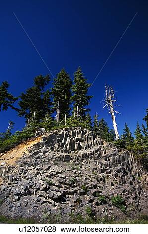 Rocky cliff and forest View Large Photo Image Stock Photo - Rocky cliff and forest. Fotosearch