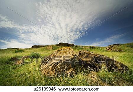 Rocky landscape in Dinosaur Provincial Park, Alberta View Large Photo Image Stock Photograph - Rocky landscape in Dinosaur Provincial Park, Alberta. Fotosearch