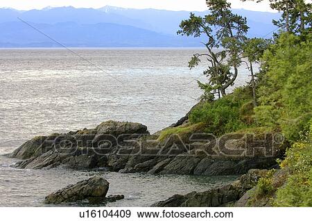 Rocky shoreline View Large Photo Image Stock Photo - Rocky shoreline. Fotosearch