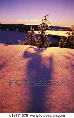 Sun casting shadows on snow covered trees View Large Photo Image Stock Photograph - Sun casting shadows on snow covered trees. Fotosearch