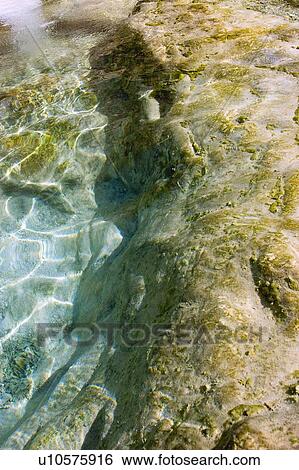 The edge of a body of water. View Large Photo Image Stock Photograph - The edge of a body of water. . Fotosearch