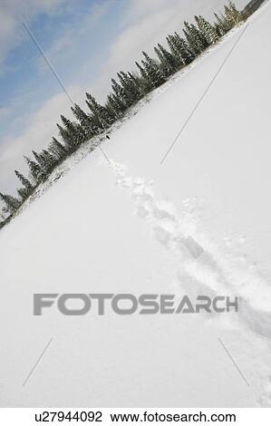 Tracks in the snow View Large Photo Image Stock Image - Tracks in the snow. Fotosearch