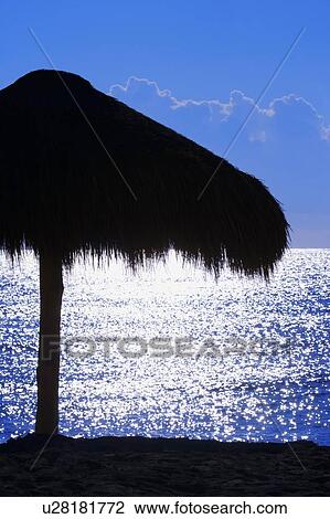 Tropical evening at the beach View Large Photo Image Stock Image - Tropical evening at the beach. Fotosearch