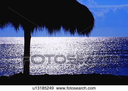 Tropical evening at the beach View Large Photo Image Stock Photo - Tropical evening at the beach. Fotosearch