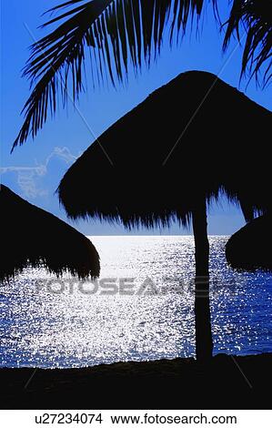 Tropical palm hut silhouettes View Large Photo Image Picture - Tropical palm hut silhouettes. Fotosearch