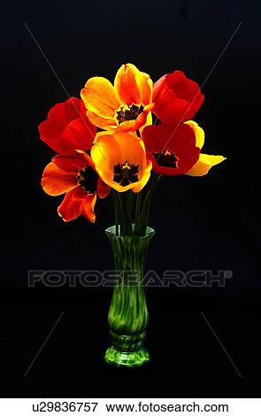 Stock Photo - Tulips in a green vase. Fotosearch