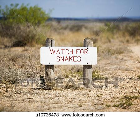 Watch for snakes sign View Large Photo Image Stock Photo - Watch for snakes sign. Fotosearch