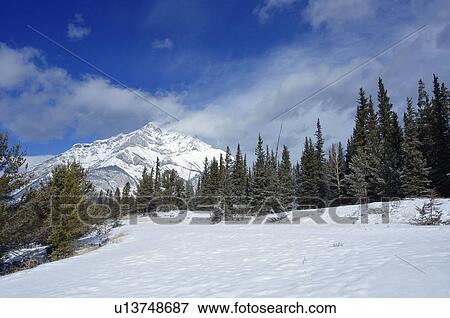 Stock Photo - Winter scene. Fotosearch