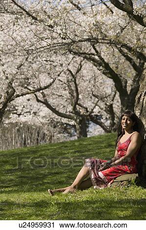 Woman relaxing under cherry tree blossoms View Large Photo Image Stock Image - Woman relaxing under cherry tree blossoms. Fotosearch