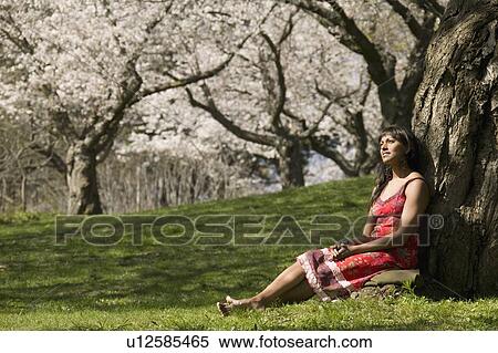 Woman relaxing under cherry tree blossoms View Large Photo Image Stock Photography - Woman relaxing under cherry tree blossoms. Fotosearch