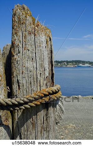 Stock Photo - Worn down pier post. Fotosearch