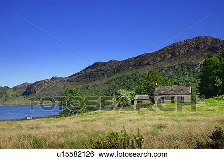 A rural scenic in Scotland View Large Photo Image Stock Photograph - A rural scenic in Scotland. Fotosearch