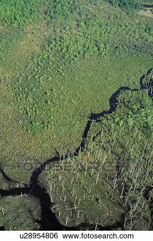 Aerial view of Schenob Brook wetlands View Large Photo Image Stock Photograph - Aerial view of Schenob Brook wetlands. Fotosearch