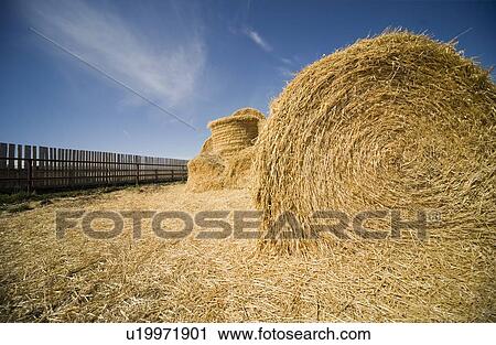 Stock Image - Bales of Hay. Fotosearch