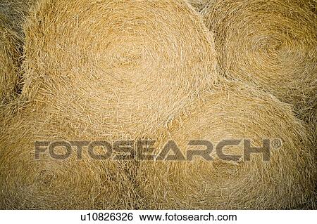 Stock Photograph - Bales of hay. Fotosearch