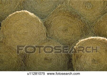 Stock Photography - Bales of hay. Fotosearch