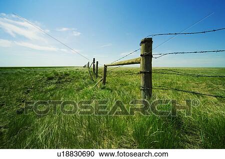 Stock Image - Barbed wire fence in a grassy field. Fotosearch