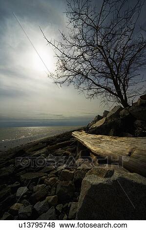 Beach Landscape View Large Photo Image Stock Photo - Beach Landscape. Fotosearch