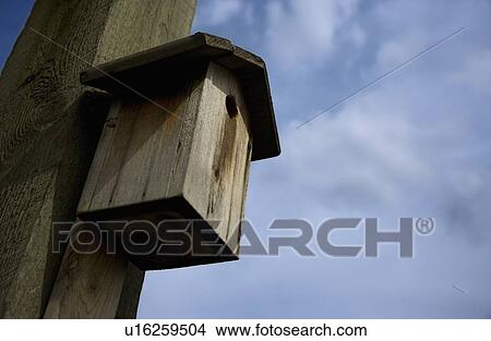 Bird house View Large Photo Image Picture - Bird house. Fotosearch