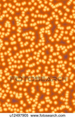 Bright Background View Large Photo Image Stock Photography - Bright Background. Fotosearch
