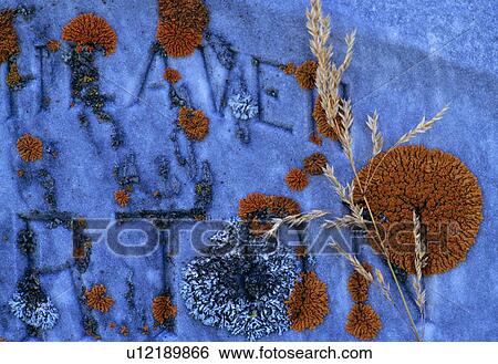 Close-up of old grave marker View Large Photo Image Stock Photograph - Close-up of old grave marker. Fotosearch
